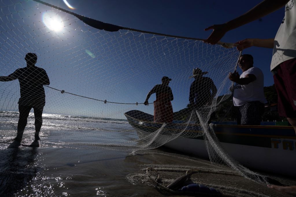 Retrospectiva 2023: setor de Aquicultura e Pesca de Santa Catarina fecha o ano com ações de destaque