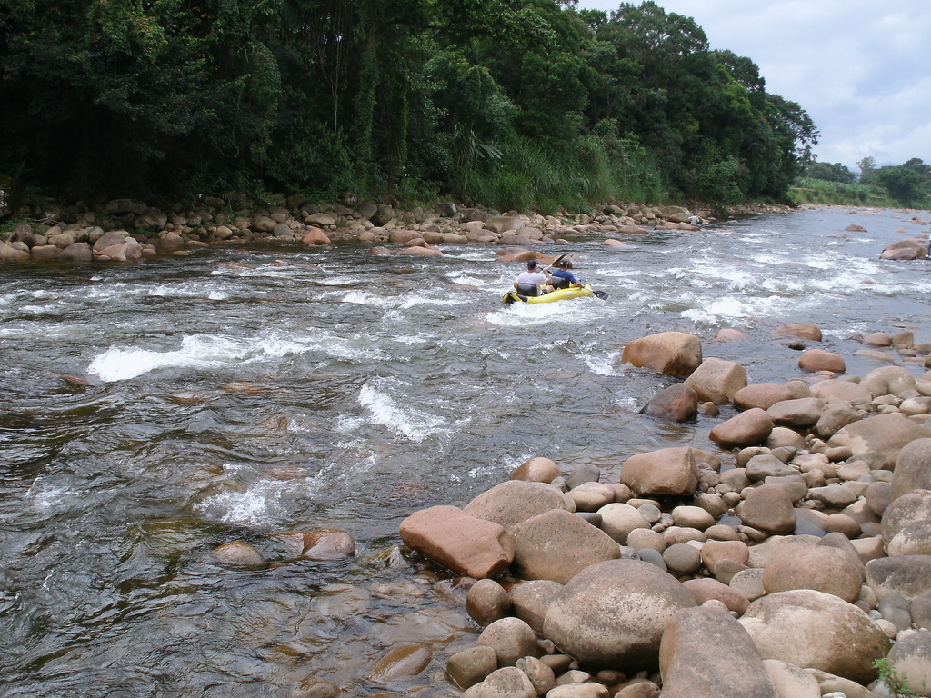 Foto: Prefeitura de Joinville / Divulgação - 