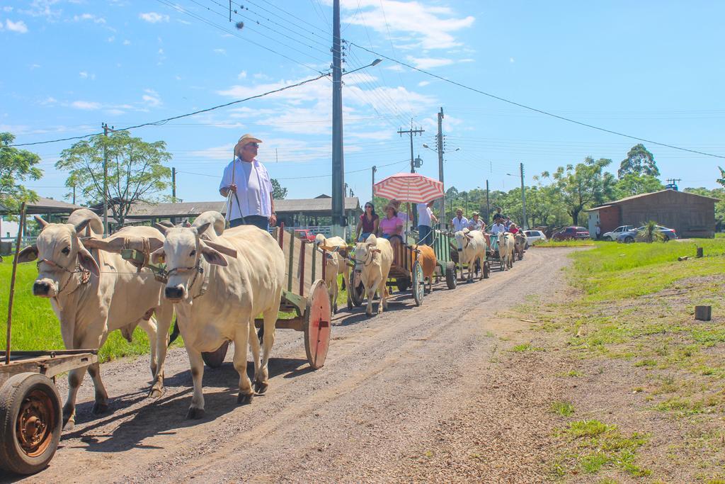 PROMOVIDA A 1ª CARREATA DE CARROS DE BOI DE 2024 EM SÃO JOÃO DO SUL