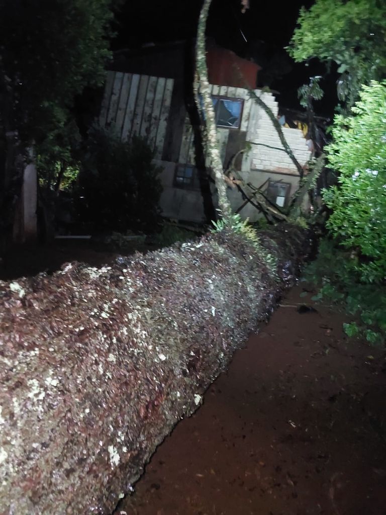 Pinheiro cai sobre casas durante tempestade que atingiu Videira