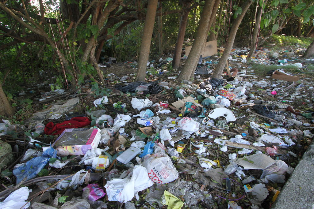 Descarte irregular de lixo e vandalismo são registros constantes
