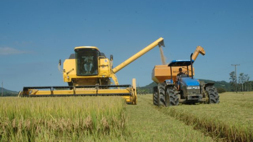 Divulgação / Epagri - 