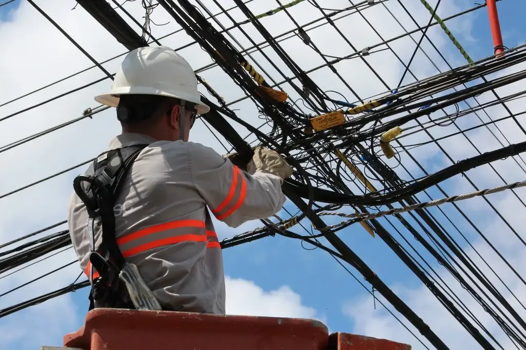 Pássaro causa queda de energia em 7 mil residências em Joinville