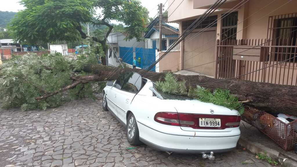 Árvore desaba sobre veículo durante temporal em Santa Maria; “prejuízo enorme”, relata dono do carro