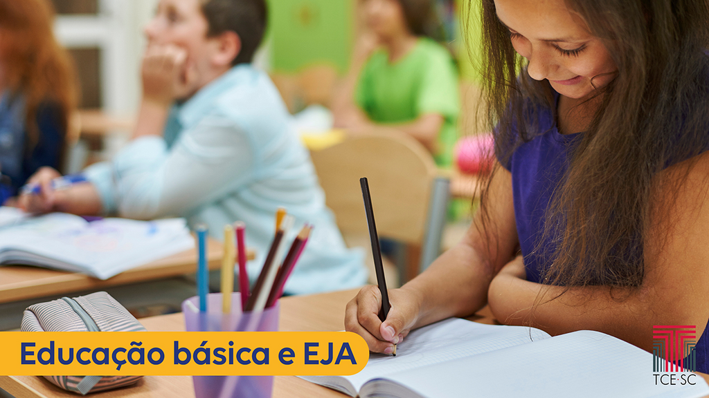 TCE/SC fará levantamento detalhado do número de alunos catarinenses na educação básica e na Educação de Jovens e Adultos