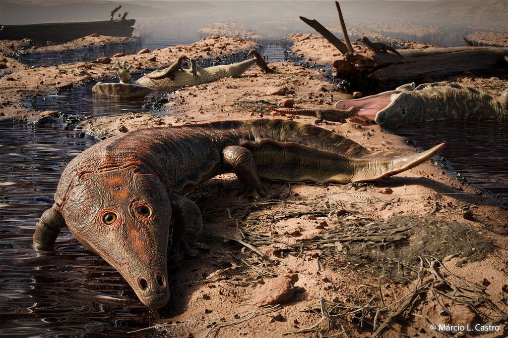título imagem Descoberta: anfíbio gigante mais antigo que dinossauros é encontrado na região
