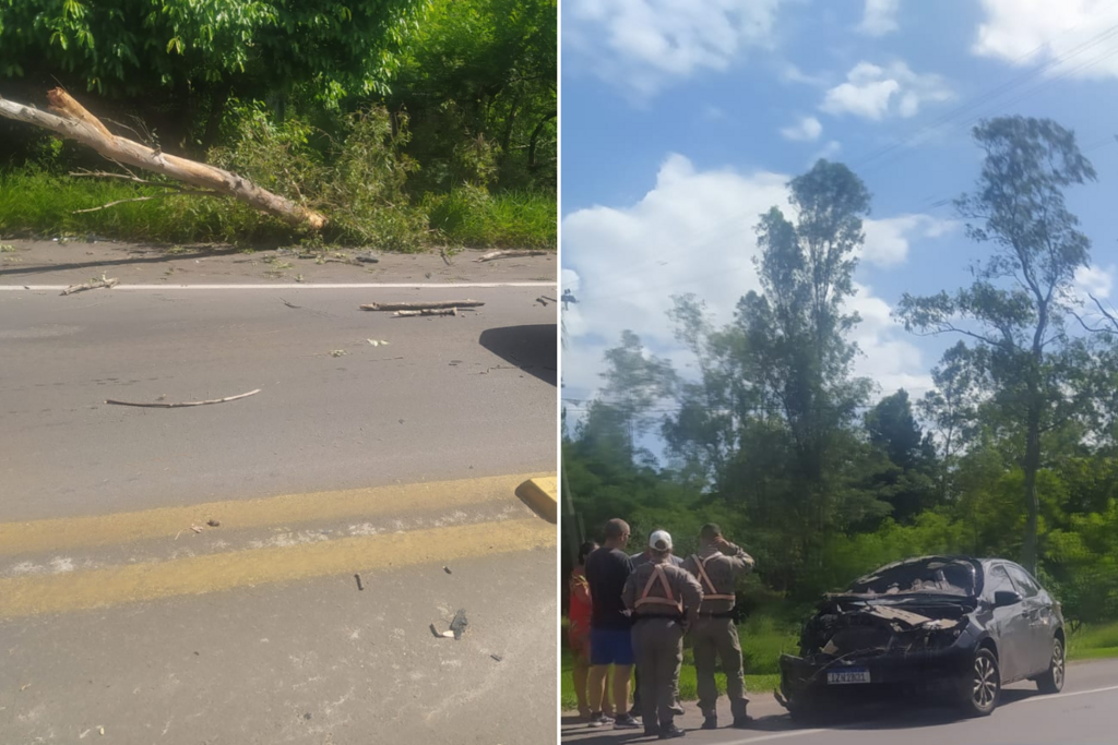 Após remoção de árvore que caiu sobre veículo, trânsito está totalmente liberado na Faixa Nova de Camobi