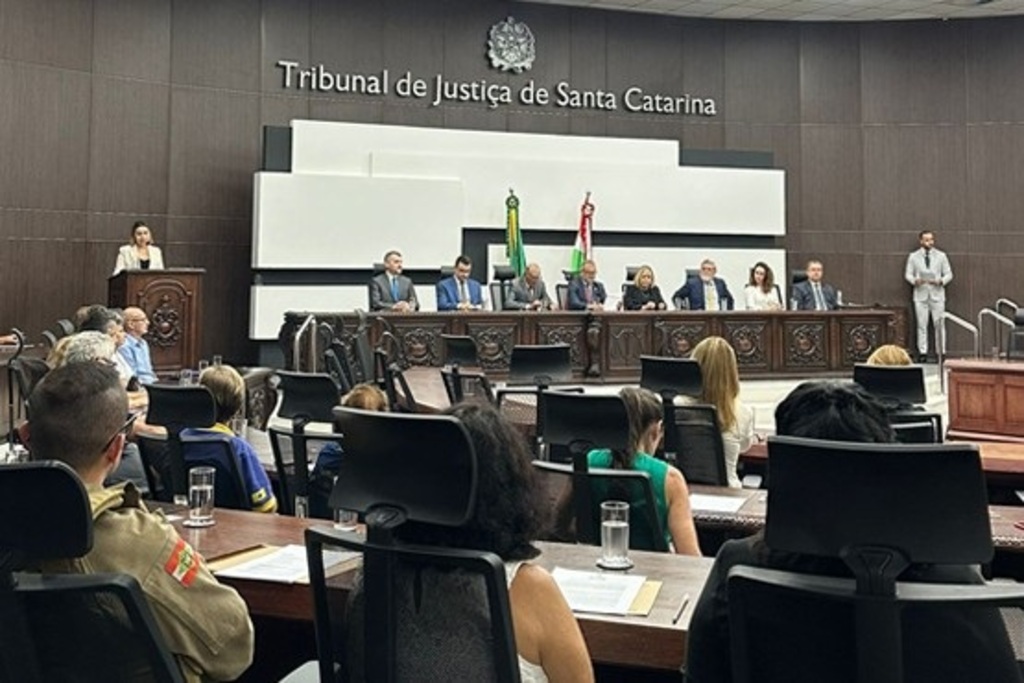 Poder Judiciário de Santa Catarina contempla 57 projetos sociais com R$ 2,2 milhões