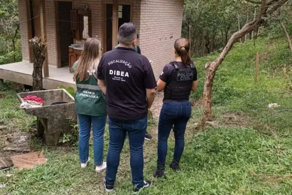  - Dona de hospedagem pet é presa suspeita de deixar cães acorrentados em SC — Foto: Polícia Civil/ Divulgação