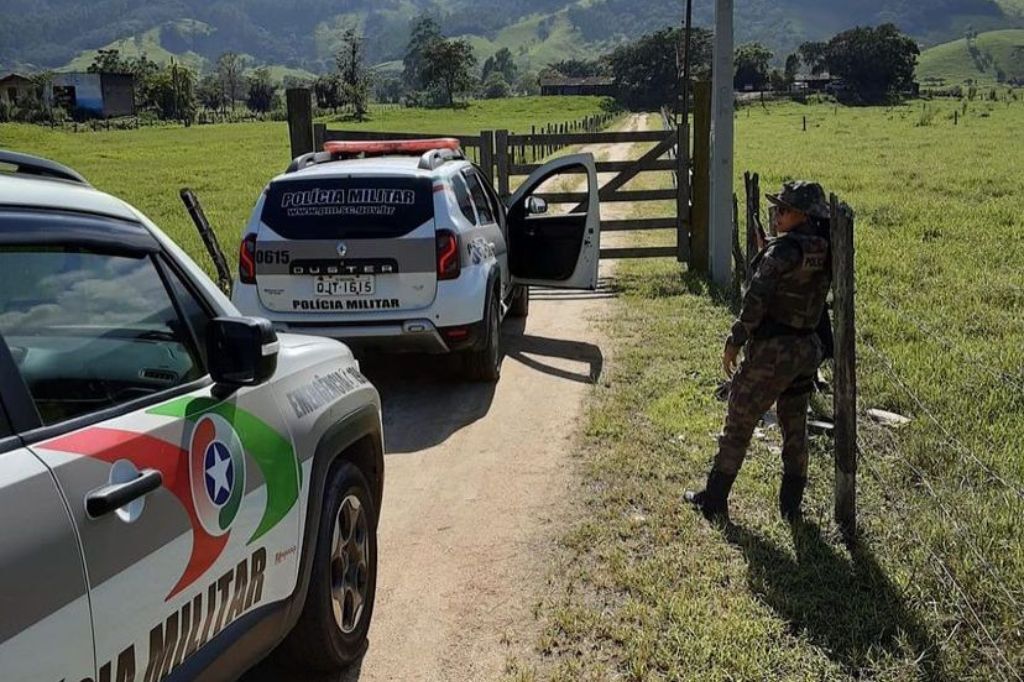 Operação conjunta apreende grande quantidade de aves no Sul de Santa Catarina