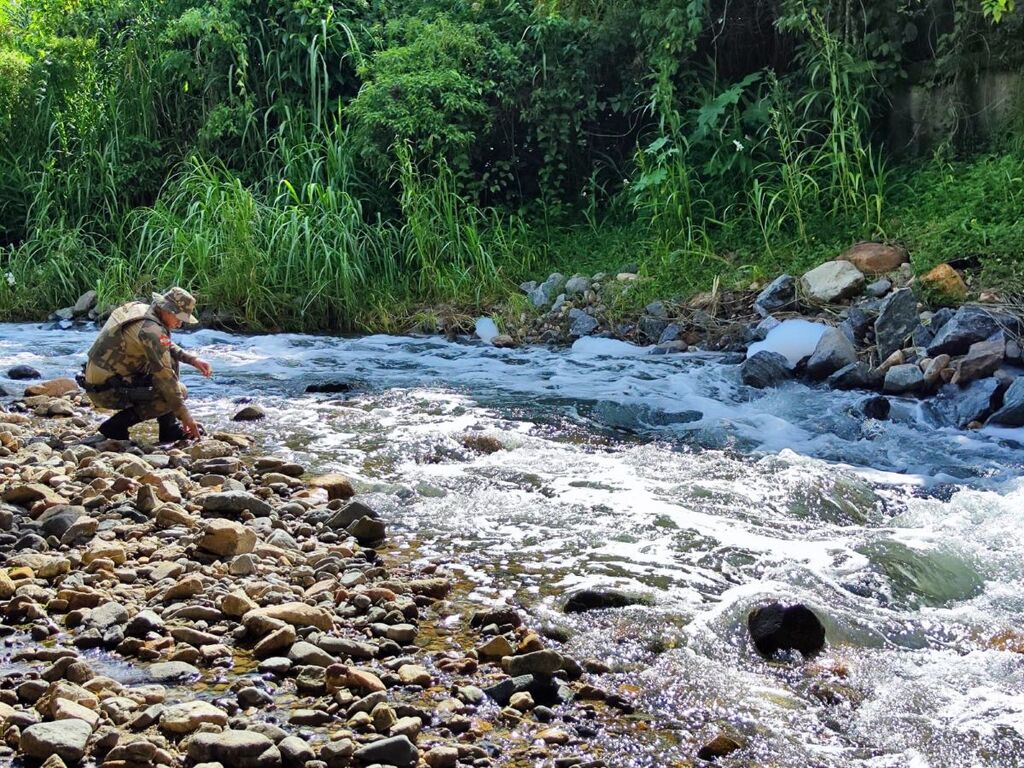 Divulgação / Polícia Militar Ambiental - 