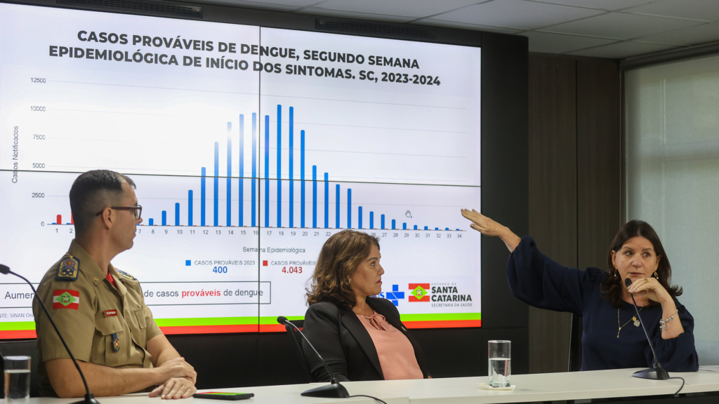 Casos de dengue aumentam 900% em SC