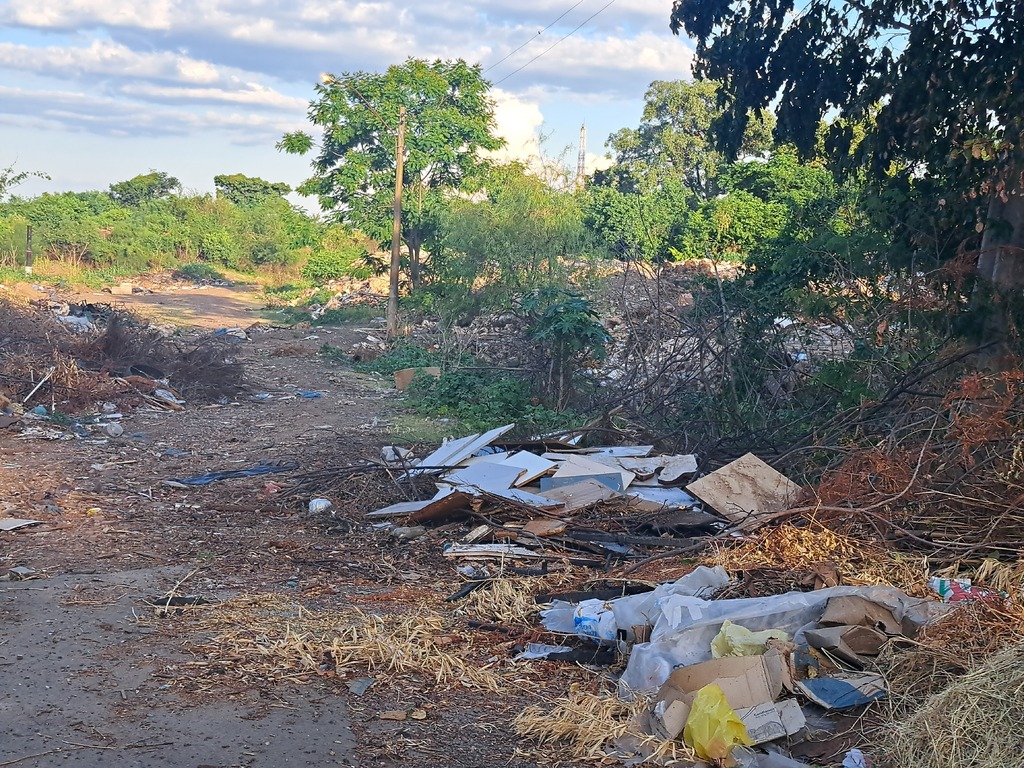 Número de focos no município gera alto risco para ocorrência de Dengue