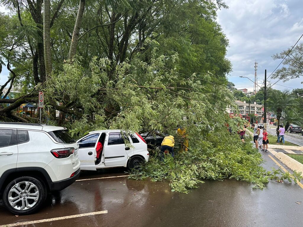 Carros são atingidos por árvores durante temporal em Itapiranga
