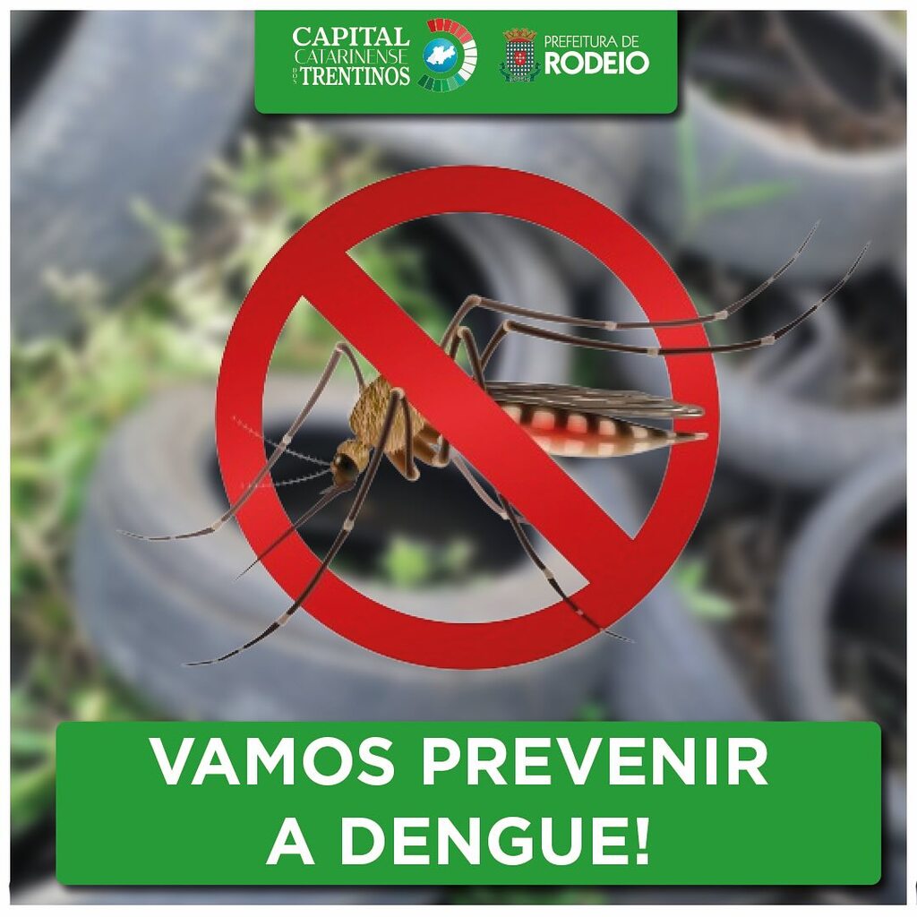 É VERÃO, TEMPO DE PREVENIR O AEDES AEGYPTI (DENGUE)
