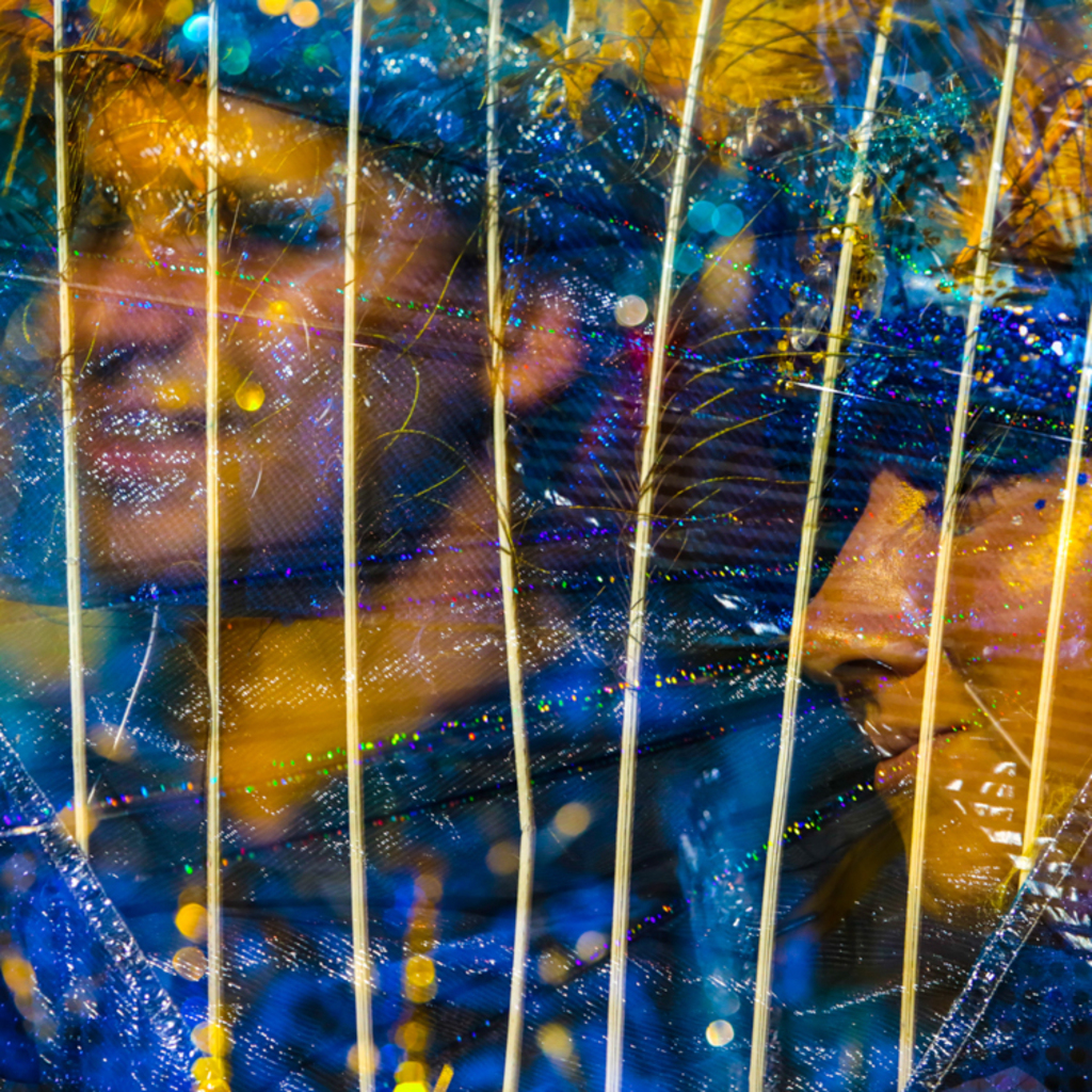 Exposição interativa retrata a riqueza do carnaval de rua de Joinville