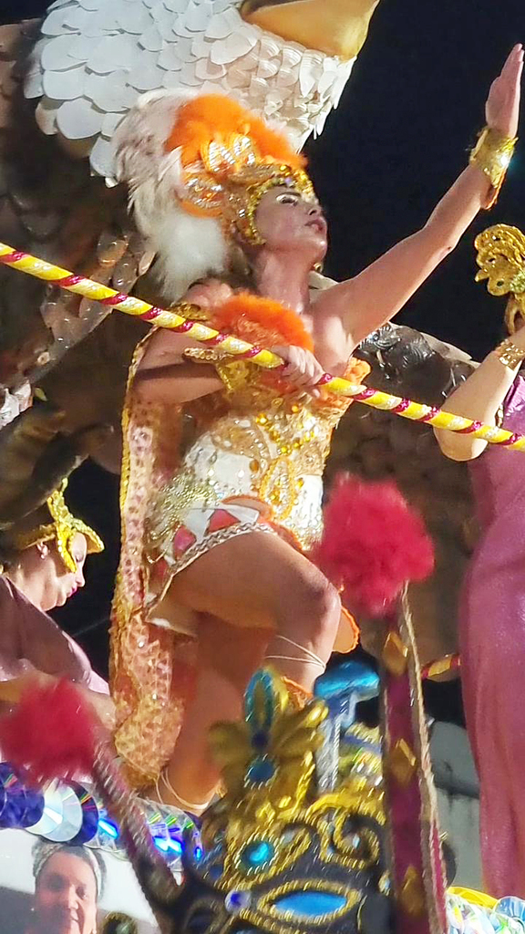  Com enredo de homenagem às mulheres, deputada Paulinha desfila no Carnaval de Joaçaba