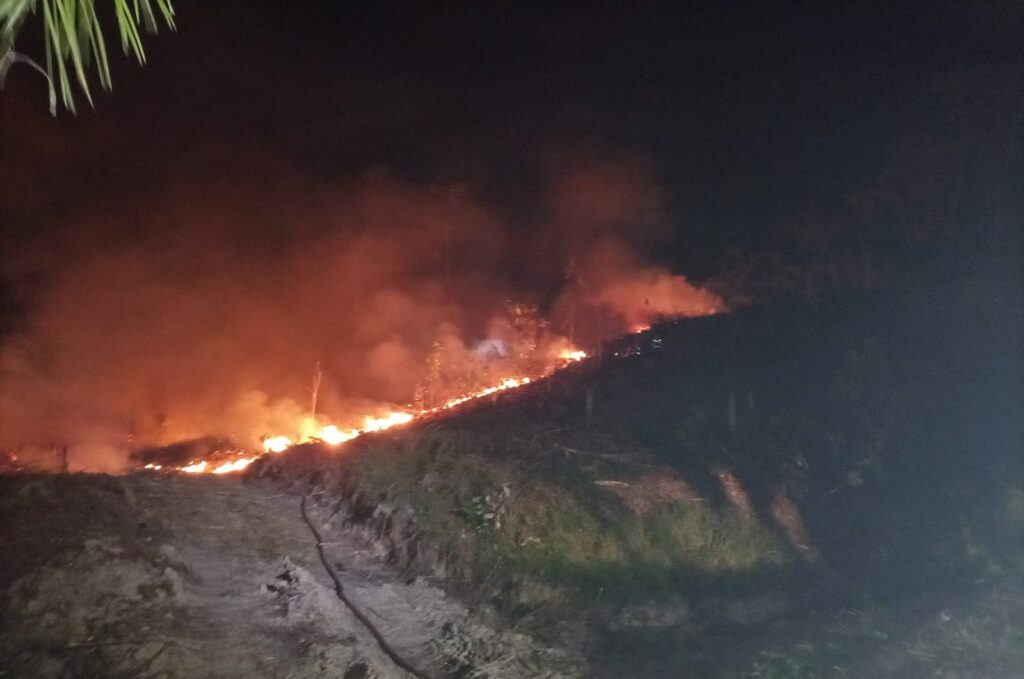 Incêndio atinge área de 20 mil m² em Rio dos Cedros