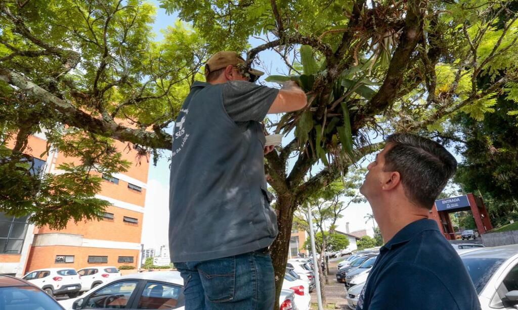 Joinville intensifica ações contra a dengue em prédios públicos municipais