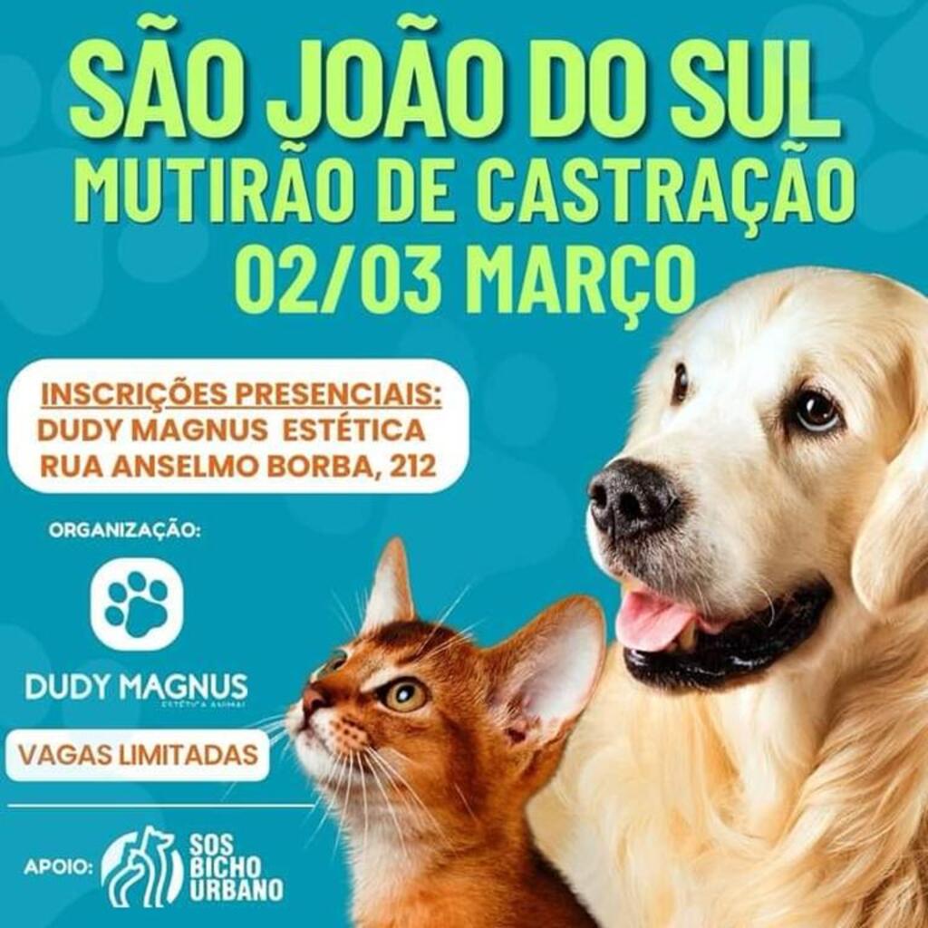 ABERTAS AS INSCRIÇÕES PARA O MUTIRÃO DE  CASTRAÇÃO DE ANIMAIS EM SÃO JOÃO DO SUL