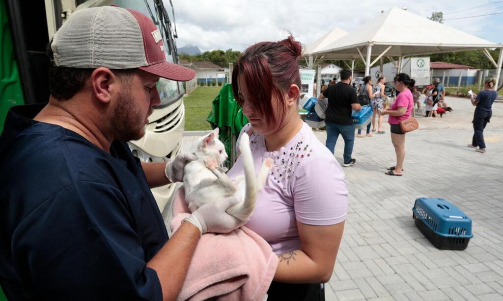 Mutirões de microchipagem e castração de animais acontecem em Joinville no próximo final de semana