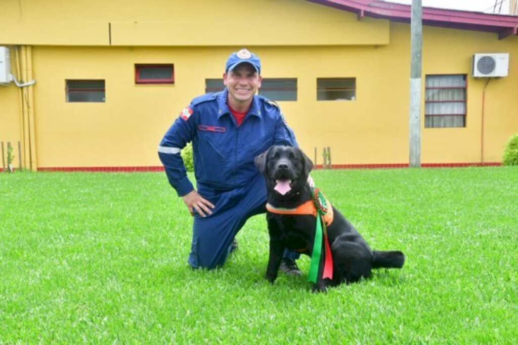 Cão treinado em Otacílio Costa auxiliará nas buscas em Petrópolis, no Rio de Janeiro