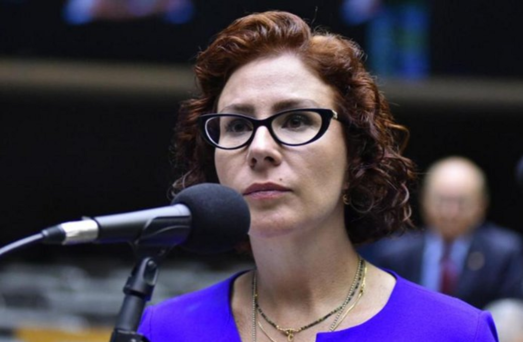 Zeca Ribeiro / Câmara dos Deputados - Os ministros consideraram a deputada culpada por propaganda eleitoral