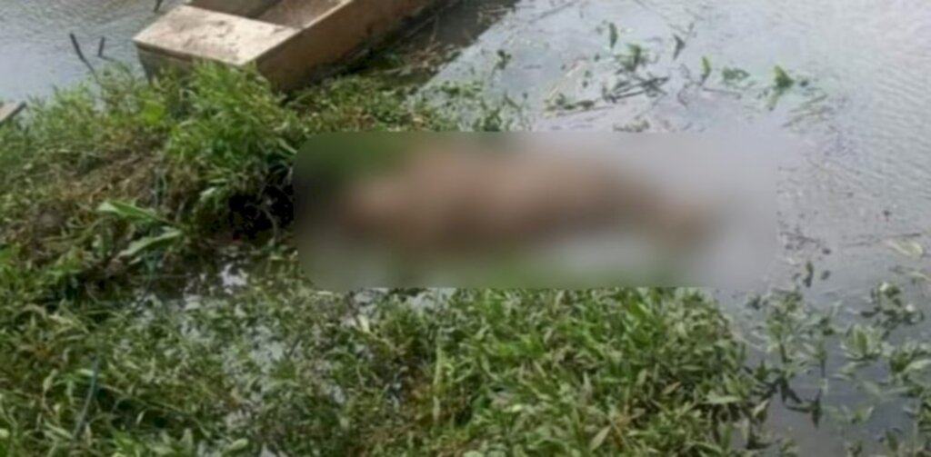 Cadáver é encontrado amarrado no Rio Canoas, em Bom Retiro