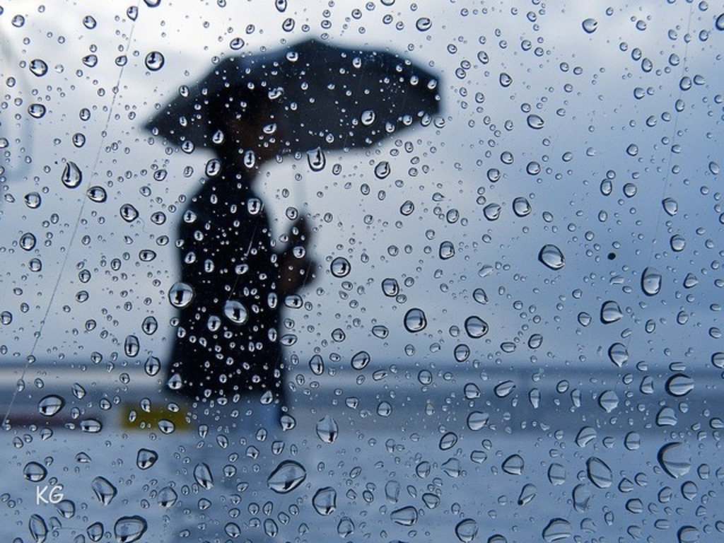 Previsão de chuva se confirma e Joinville chega a 79 ocorrências