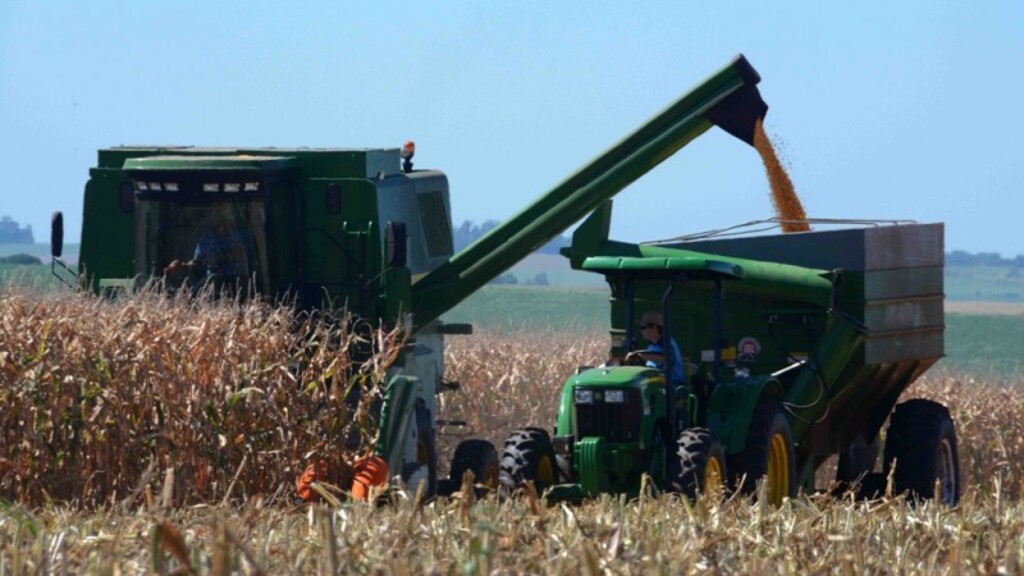 Abertura da colheita do milho ocorre na terça-feira (27), em Santa Vitória do Palmar