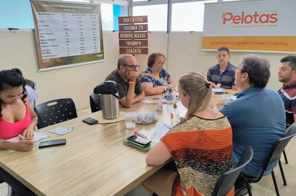 Estatísticas confirmam prejuízos agrícolas causados pelas chuvas