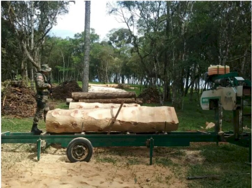 Polícia Ambiental descobre desmatamento ilegal em Otacílio Costa