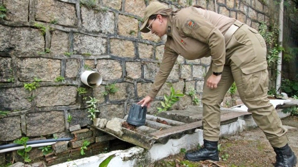 Dengue em SC: mutirão de combate ao mosquito é realizado nas unidades militares do estado