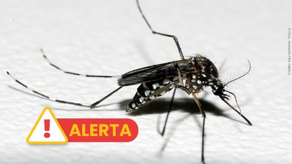 RS REGISTRA OITAVO ÓBITO POR DENGUE NO ANO
