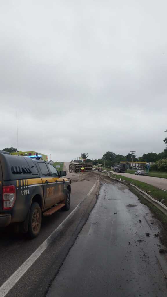 Caminhão de boiadeiro tomba no km 512 da BR116 em Pelotas