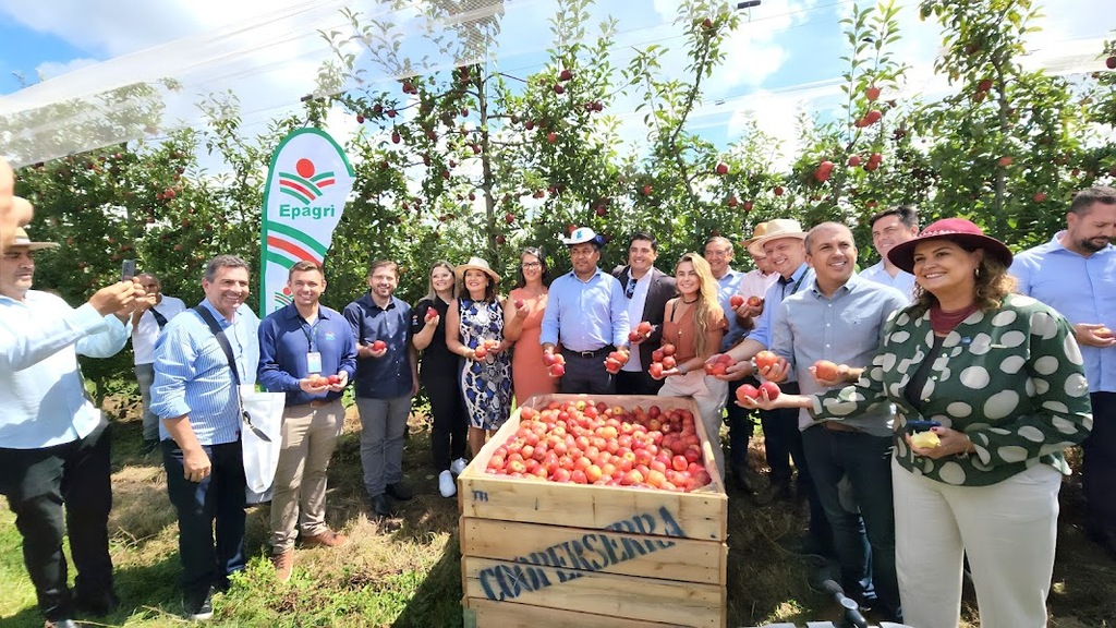 Abertura nacional da colheita da maçã tem representantes do ministério