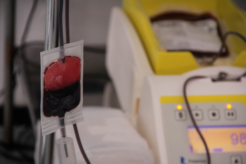 HemoPel receberá as mulheres de maneira especial