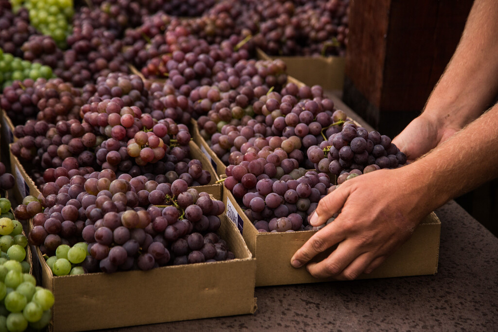 Foto: Gustavo Vara/Arquivo - Ascom - Mais de 2,1 mil quilos de uva in natura já foram vendidos na feira até agora