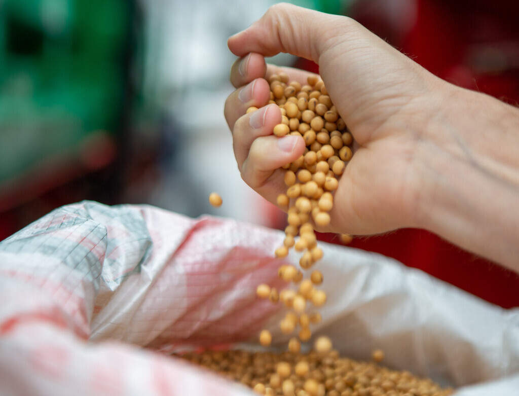 Emater divulga nova estimativa para a safra de grãos no RS