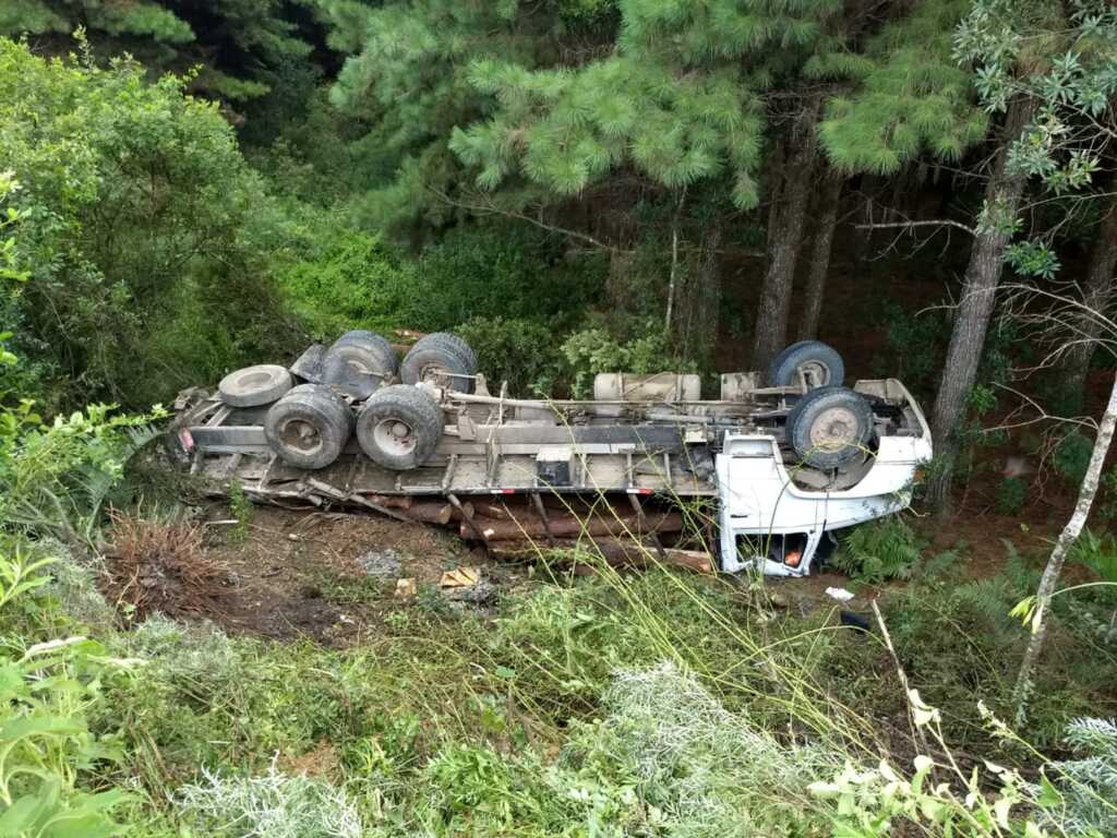 Caminhão desgovernado atravessa a rodovia e despenca em ribanceira em Palmeira