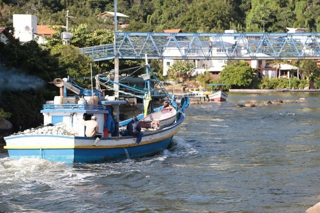 Stein (MDB) critica portaria que restringe pesca da tainha no Estado