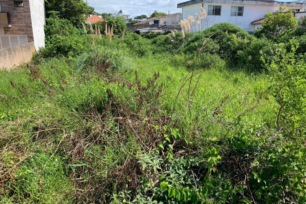 Terreno abandonado preocupa moradores do centro de Imbituba