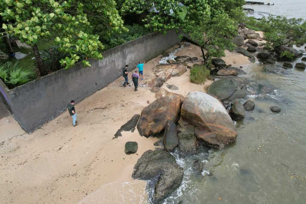 Mortandade de peixes em Florianópolis e São José gera alerta dos órgãos de fiscalização