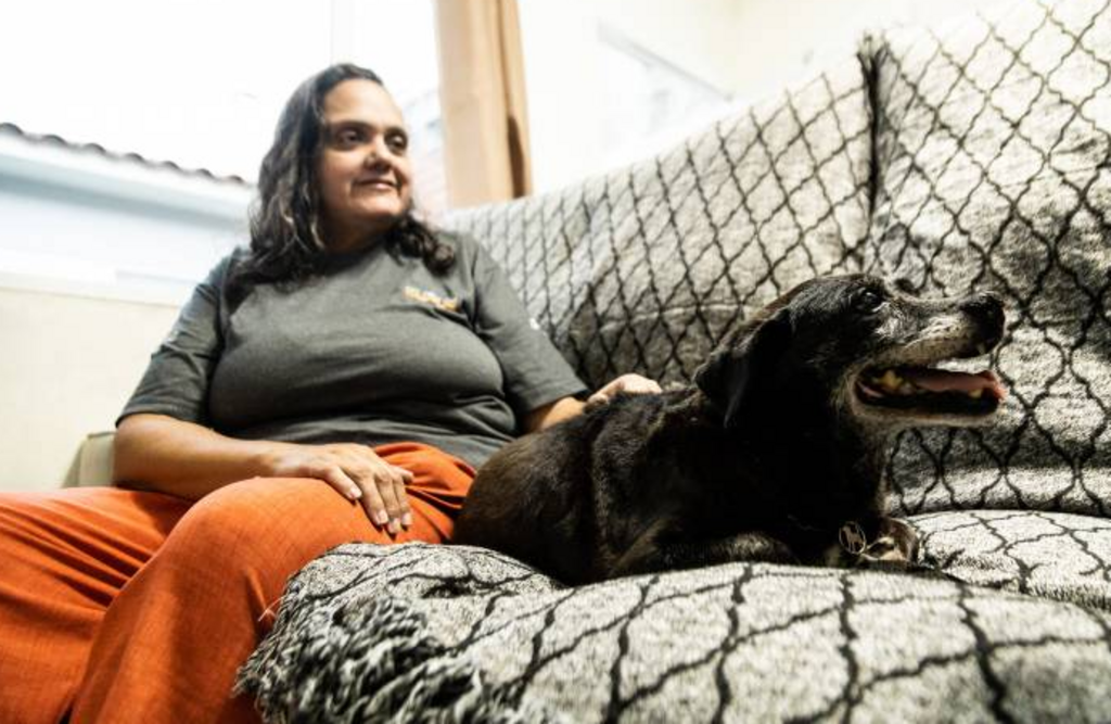 Município busca aumentar o número de cães adotados