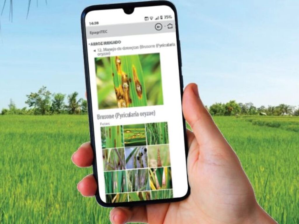 Imagens: Divulgação / Epagri) - 