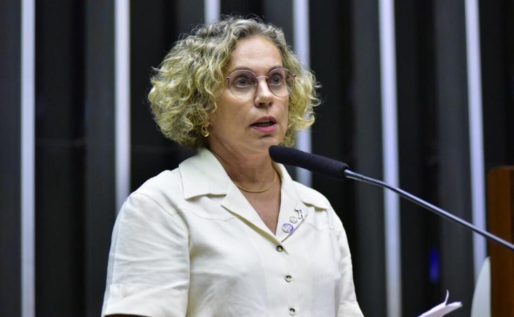  - - Deputada federal Ana Paula Lima (PT), vice-líder do Governo na Câmara