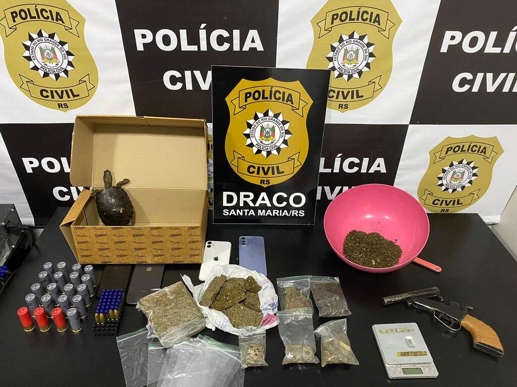 Polícia Civil apreende tartaruga e prende quatro pessoas por tráfico de drogas na região central de Santa Maria