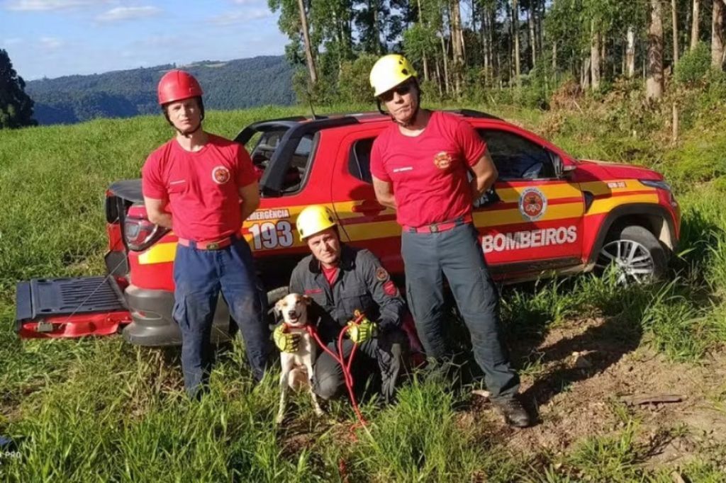 (Imagem HC Notícias) - Bombeiros usam rapel e percorrem mais de 40 km para resgatar cão em cânion de SC