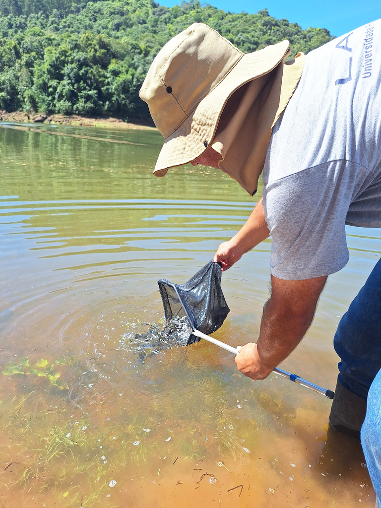 Consórcio Machadinho realiza mais uma soltura de peixes