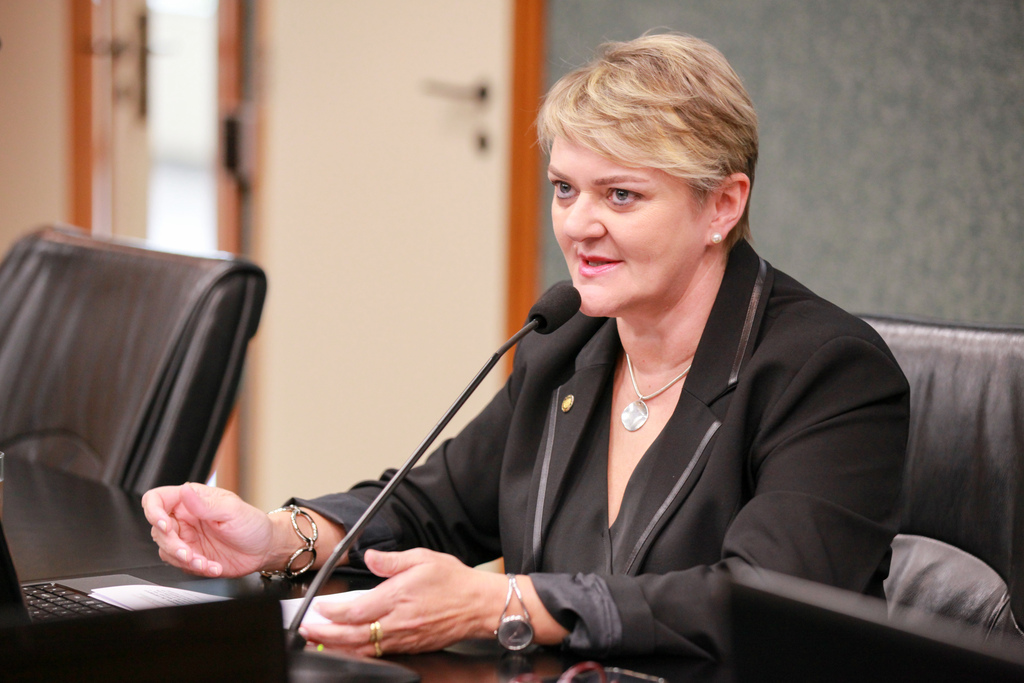 FOTO: Vicente Schmitt/Agência AL - Deputada Luciane Carminatti